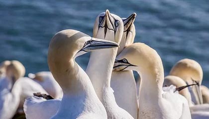 休赛期状态?快船球星莱昂纳德与孩子在包厢内 观看美职棒比赛