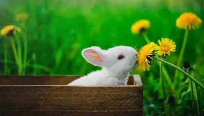 休赛期状态?快船球星莱昂纳德与孩子在包厢内 观看美职棒比赛